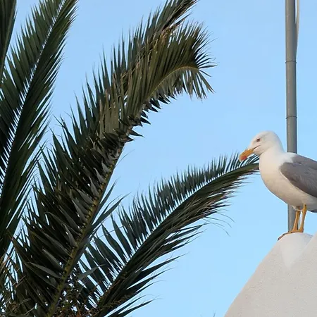 Lejlighed Gaivota Nest - Blue Ocean View